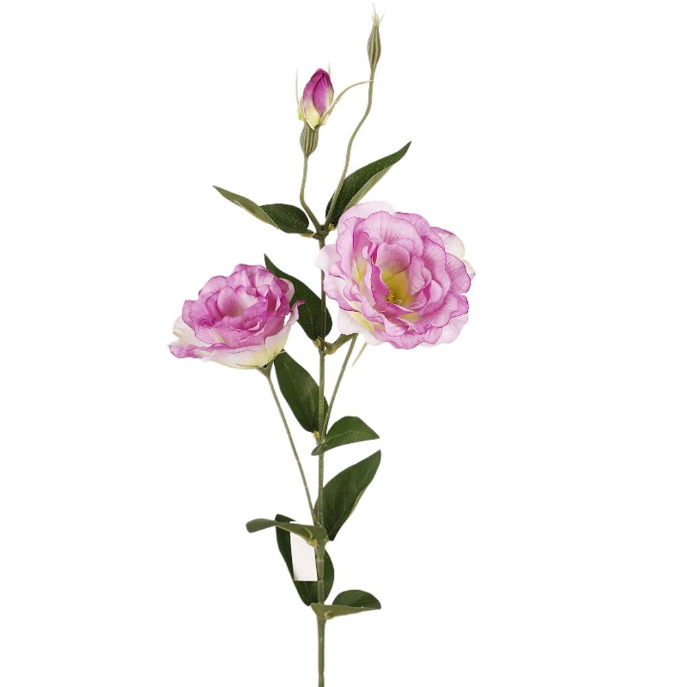 Ficus Lyrata Tree - Platycodon Flower Artificial Balloon Flower Lisianthus