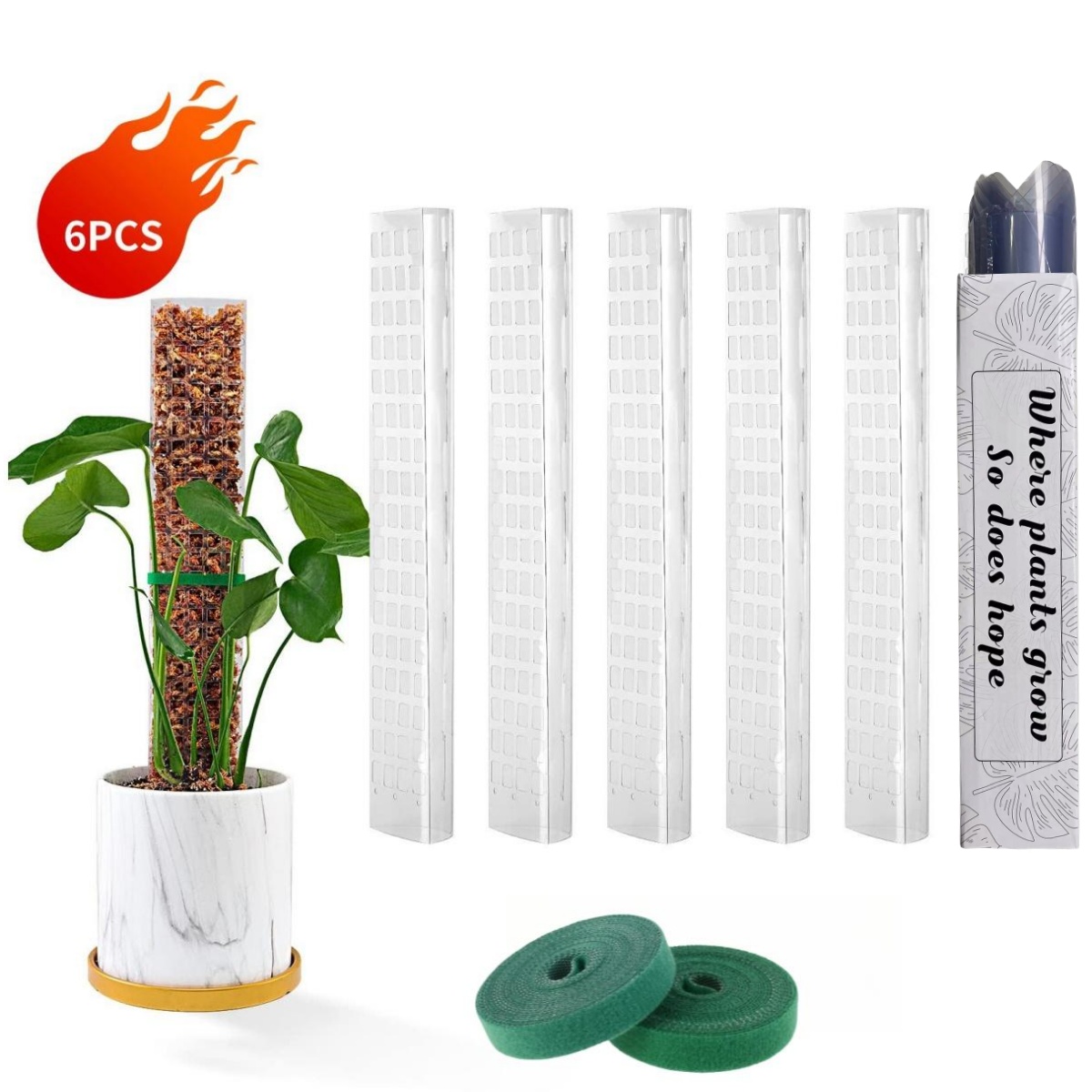 Moss Poles Plants Plant Suppor - Echeveria Succulent บทวิจารณ์และราคา