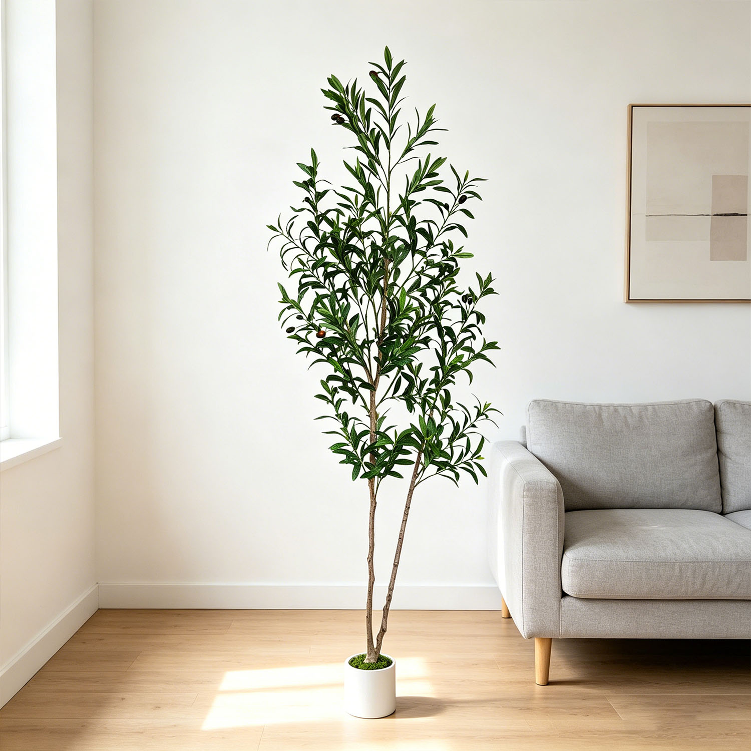 145Cm-175Cm/5.7Ft Artificial O - Dracaena Marginata บทวิจารณ์และราคา