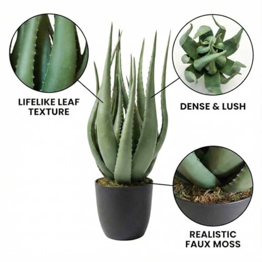 Large Potted Artificial Aloe V - Aloe Vera Pot บทวิจารณ์และราคา