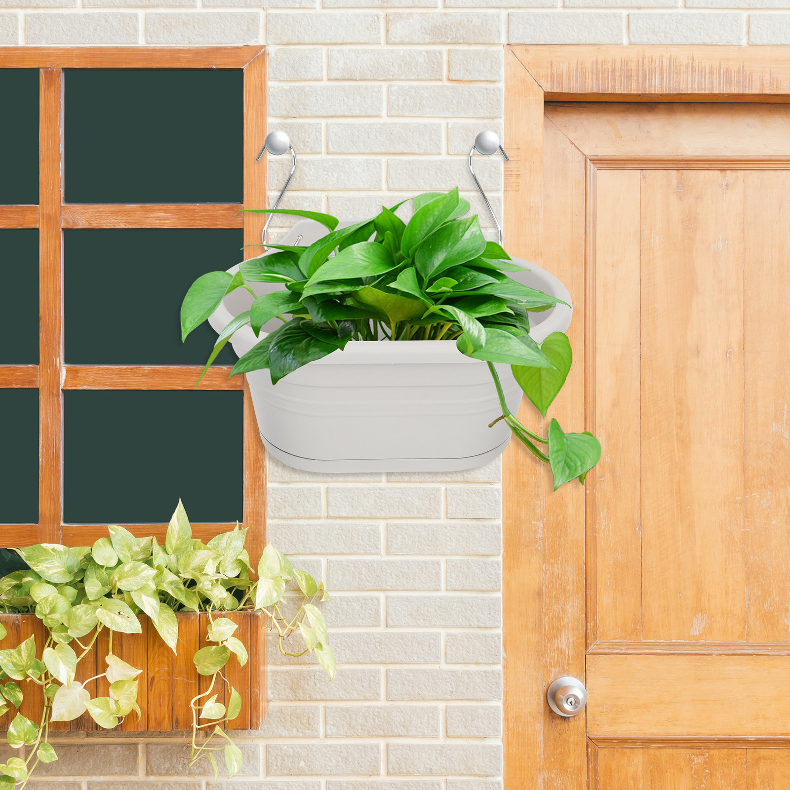 1Set Wall Hanging Flower Pot S - Spider Plant Hanging บทวิจารณ์และราคา