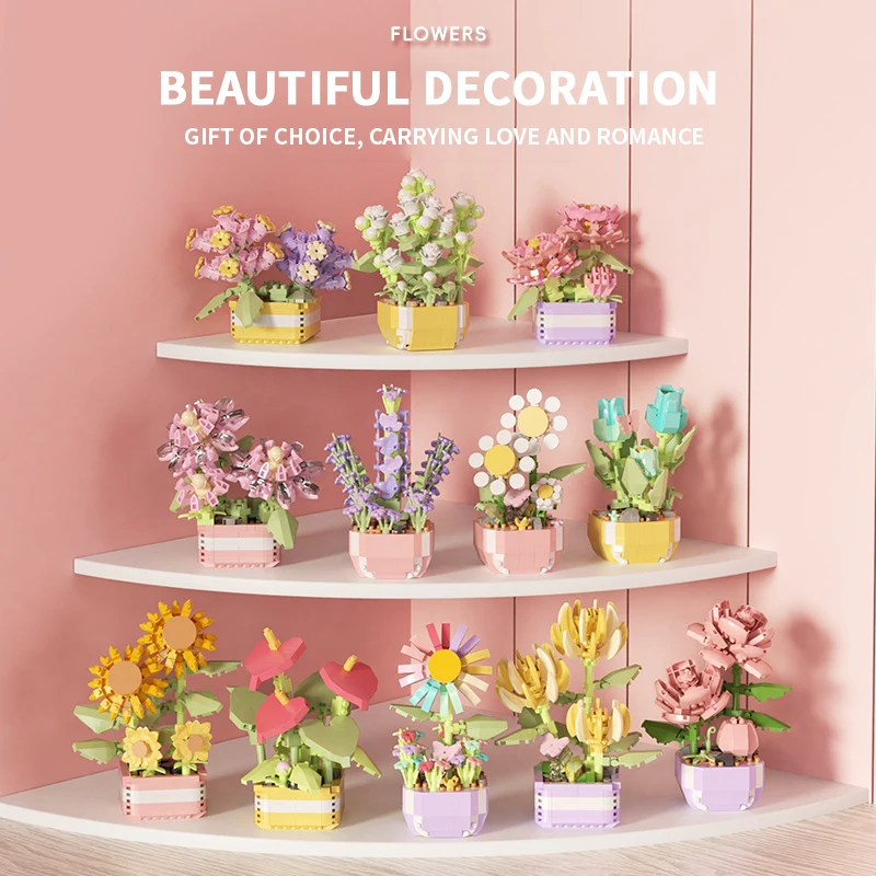Flower Succulents Building Blo - Echeveria Succulent บทวิจารณ์และราคา