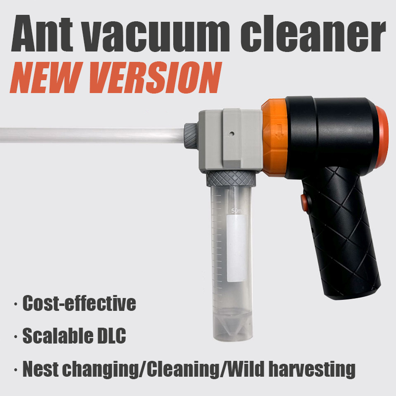 Ant Farm Collection Tool Ants  - Begonia Rex บทวิจารณ์และราคา