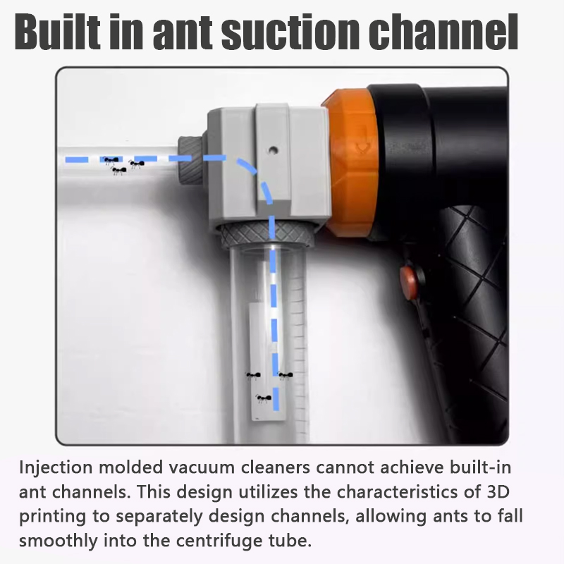 Ant Farm Collection Tool Ants  - Begonia Rex บทวิจารณ์และราคา