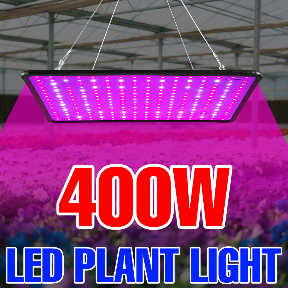 400W LED Grow Light Full Spect - Echeveria Succulent บทวิจารณ์และราคา