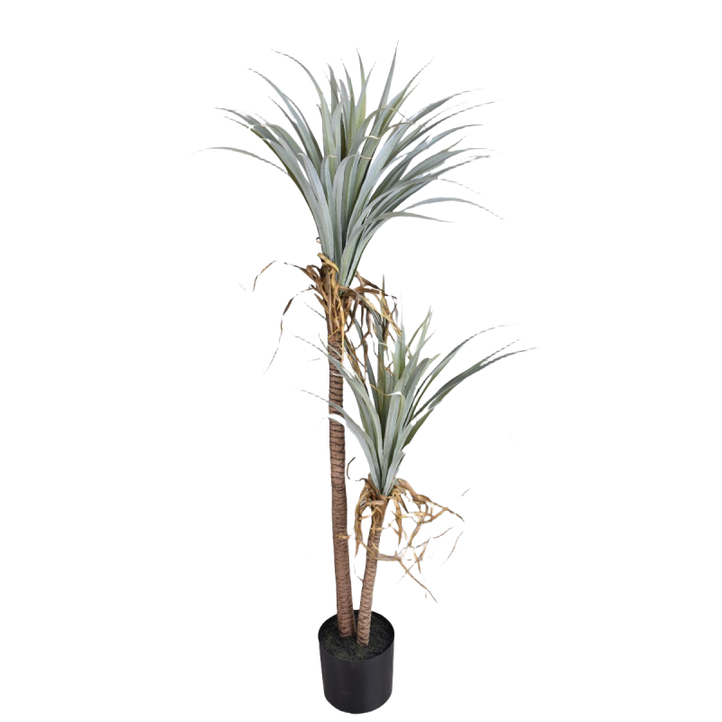 Dragon Blood Yucca Artificial  - Dracaena Marginata บทวิจารณ์และราคา