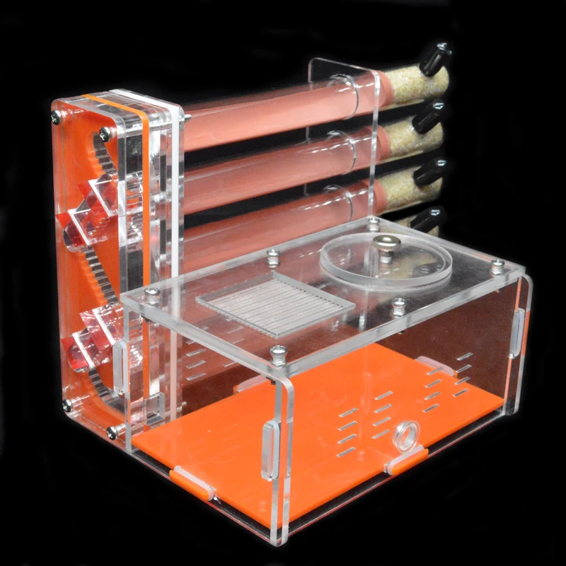 DIY Acrylic Ant Farm 5 pcs 18- - Begonia Rex บทวิจารณ์และราคา