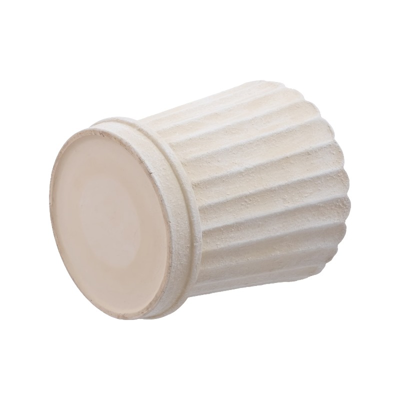 8 Inch Shell Planter Cream Cer - Aloe Vera Pot บทวิจารณ์และราคา