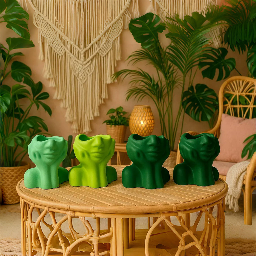 Abstract Face Planter Pot Sili - Echeveria Succulent บทวิจารณ์และราคา