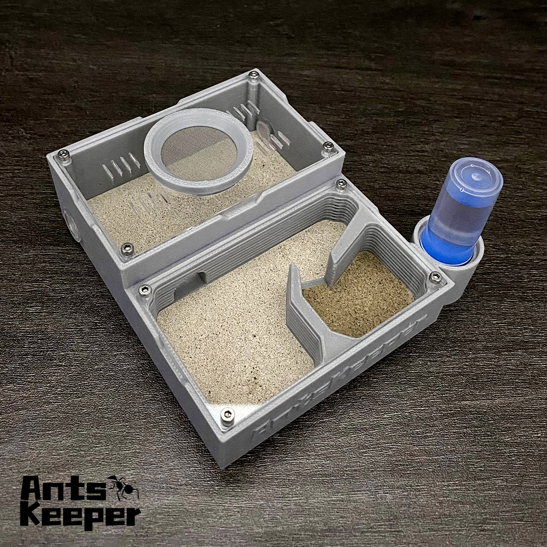 【One Section】Flat Ant Farm for - Begonia Rex บทวิจารณ์และราคา