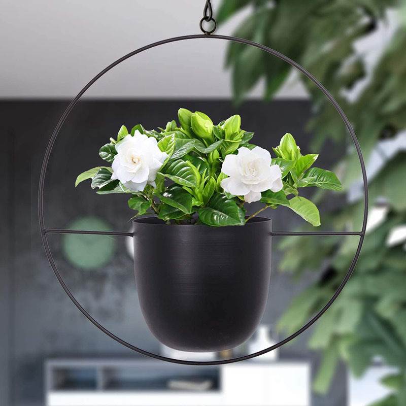 Hanging Iron Art Plant Pots Ba - Spider Plant Hanging บทวิจารณ์และราคา