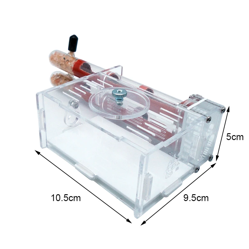 DIY Ant Farm 2 pcs 18-180mm Gy - Begonia Rex บทวิจารณ์และราคา
