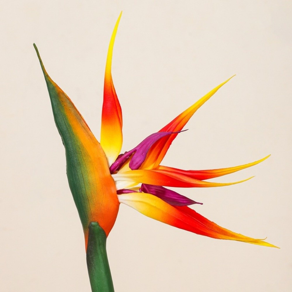 Long Stem Artificial Bird of P - Bird Paradise Strelitzia บทวิจารณ์และราคา