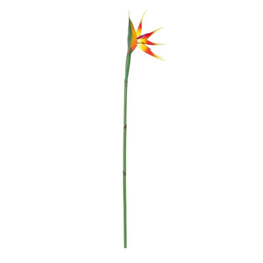 Long Stem Artificial Bird of P - Bird Paradise Strelitzia บทวิจารณ์และราคา