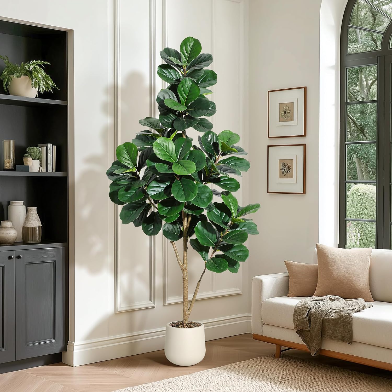 4-7 FT Fiddle Leaf Fig Tree Ar - Ficus Lyrata Tree บทวิจารณ์และราคา