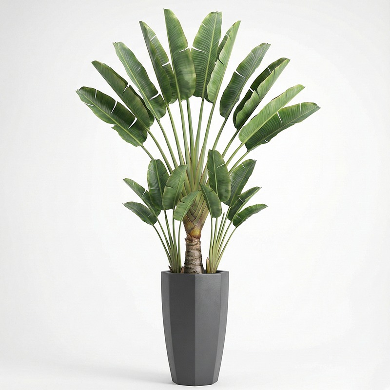 High-Simulation Plastic Fiddle - Ficus Lyrata Tree บทวิจารณ์และราคา