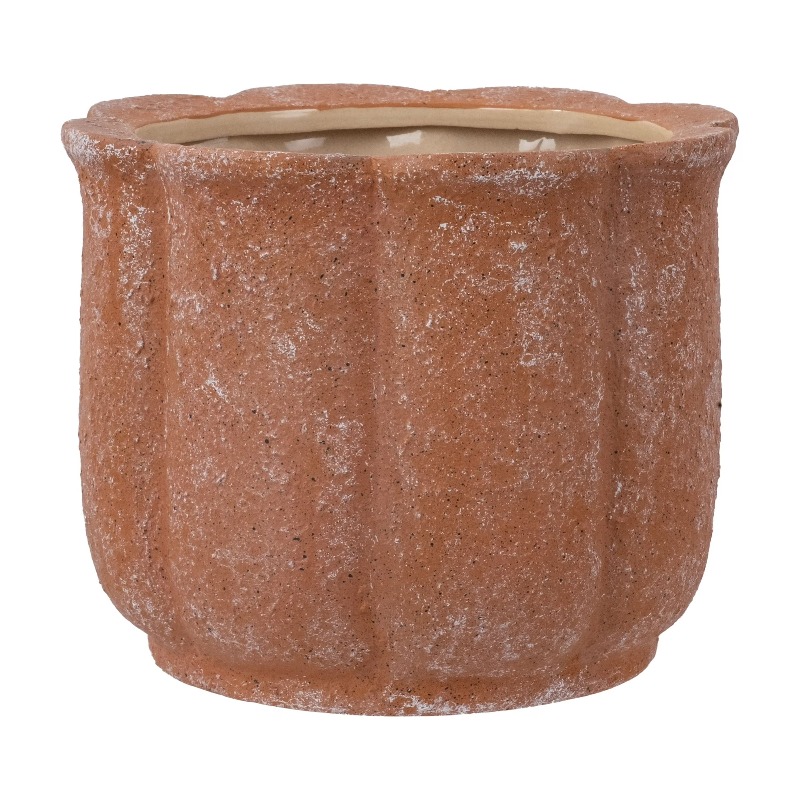 8in Terracotta Flower Planter  - Aloe Vera Pot บทวิจารณ์และราคา