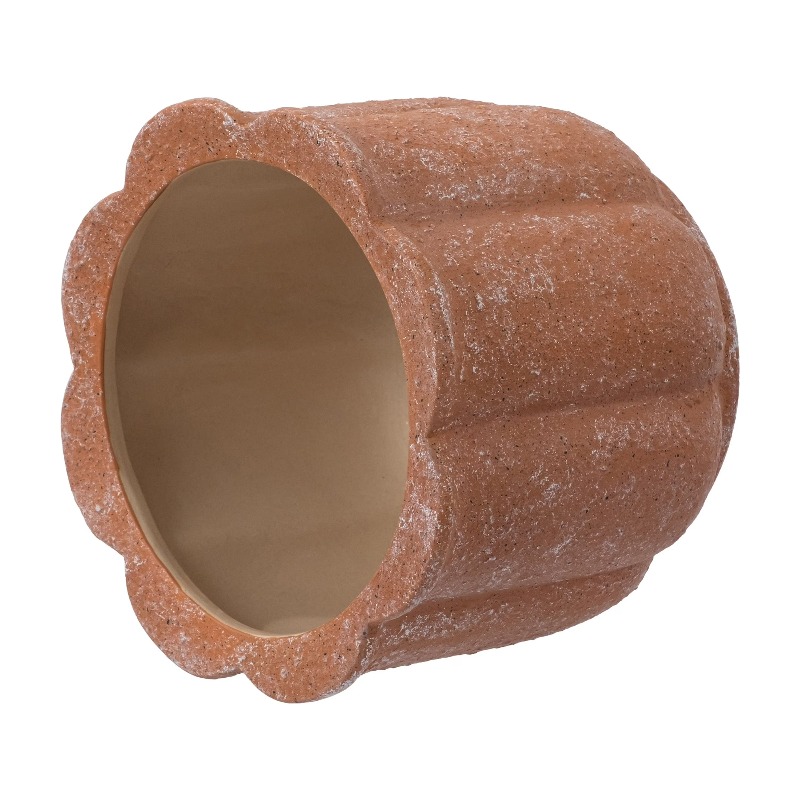 8in Terracotta Flower Planter  - Aloe Vera Pot บทวิจารณ์และราคา