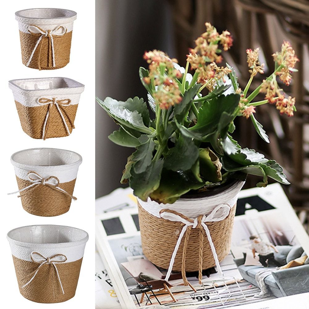 Paper Rope Braided Braided Flo - Aloe Vera Pot บทวิจารณ์และราคา