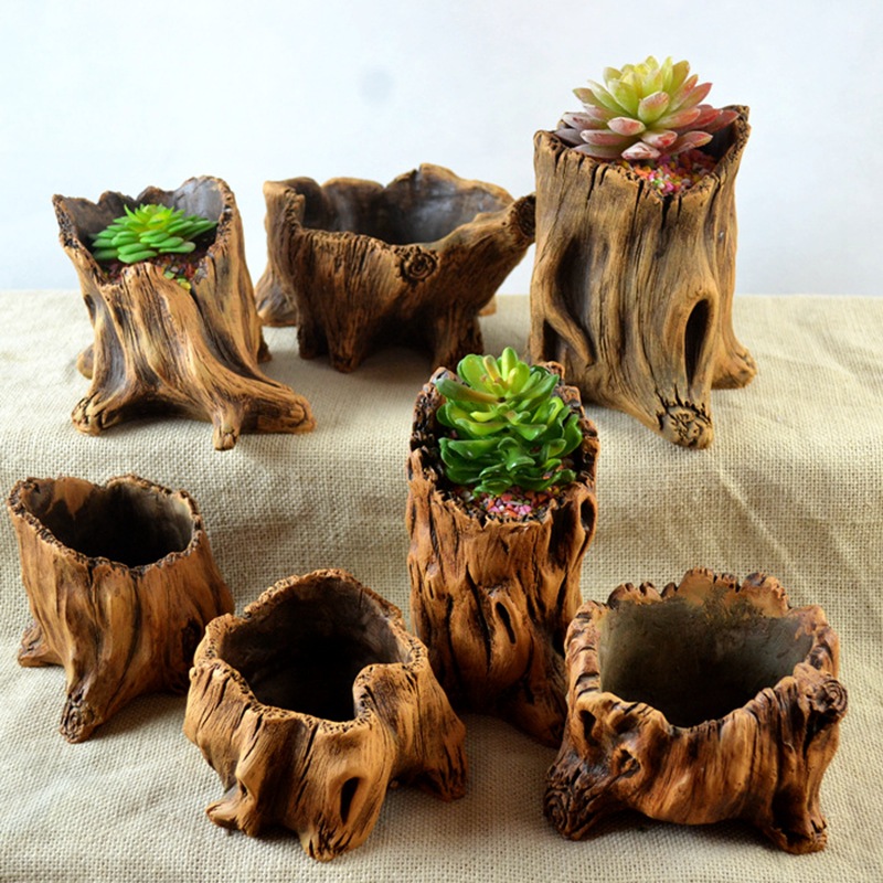 Imitation Wooden Stakes Tree R - Echeveria Succulent บทวิจารณ์และราคา