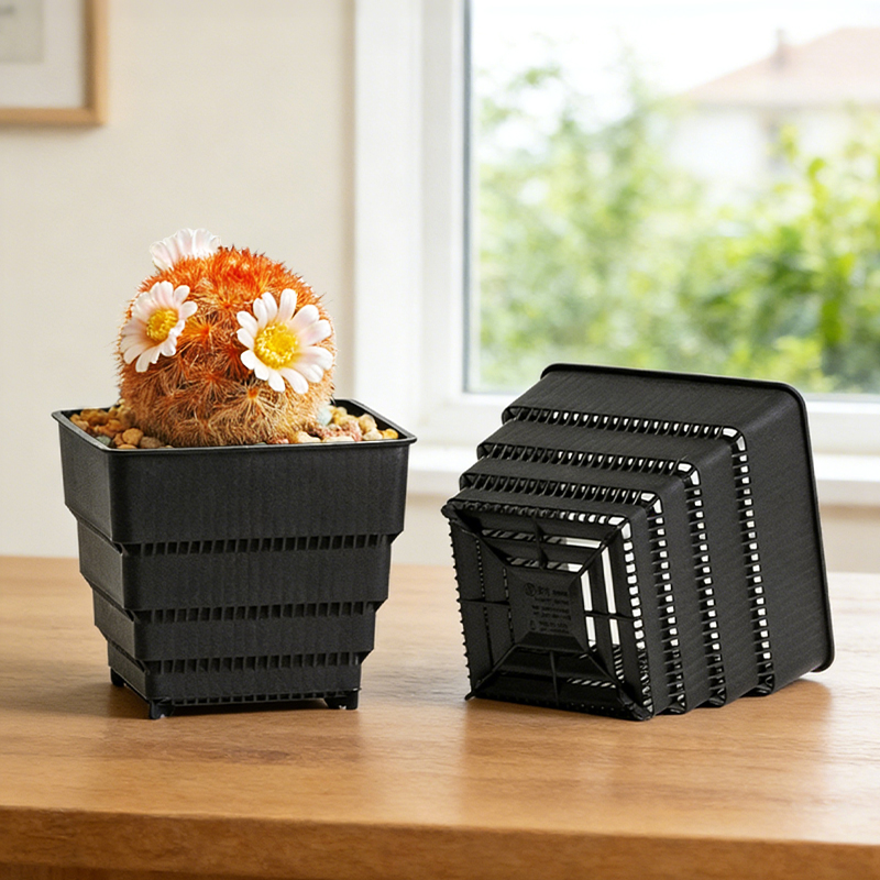 MESHPOT 6-Pack Square Pots for - Echeveria Succulent บทวิจารณ์และราคา