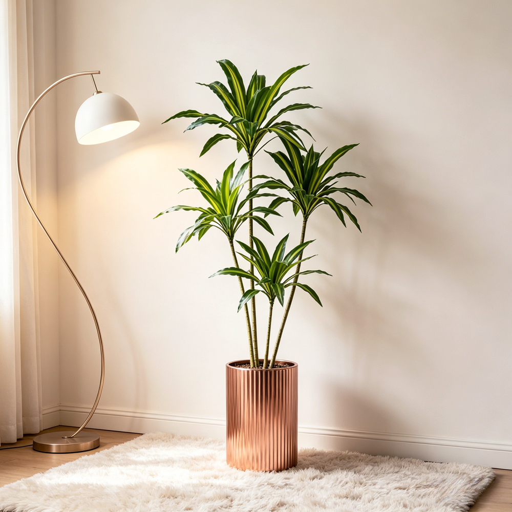 80-165cm Large Artifcial Draca - Dracaena Marginata บทวิจารณ์และราคา