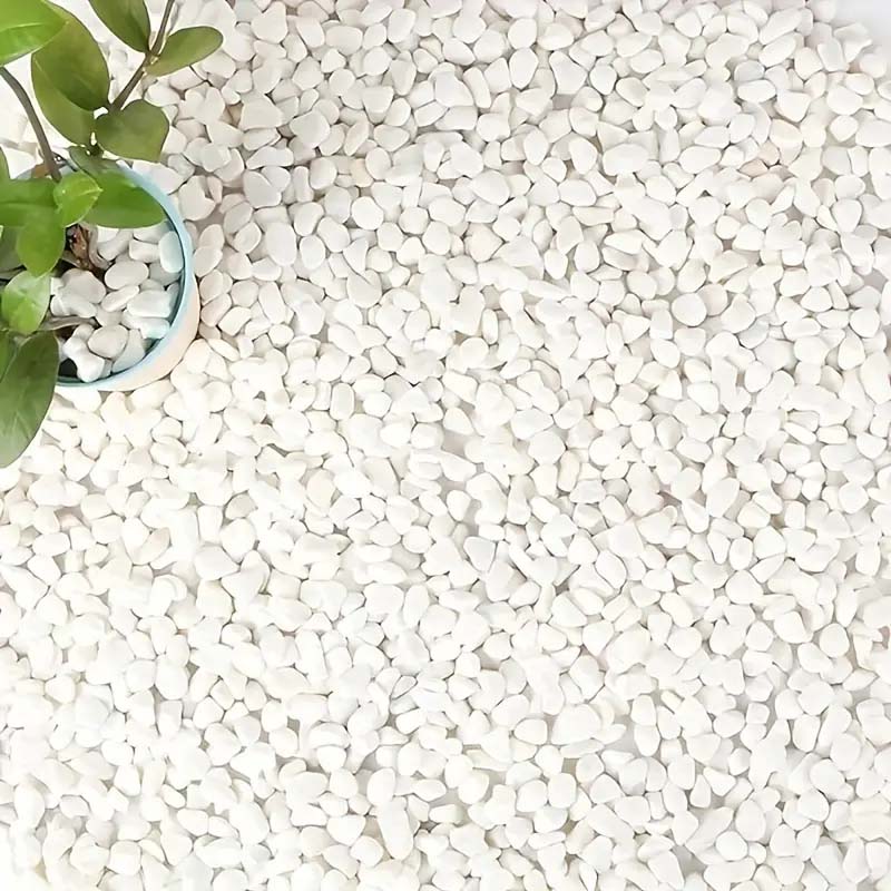 White Pebbles Decorative Stone - Echeveria Succulent บทวิจารณ์และราคา
