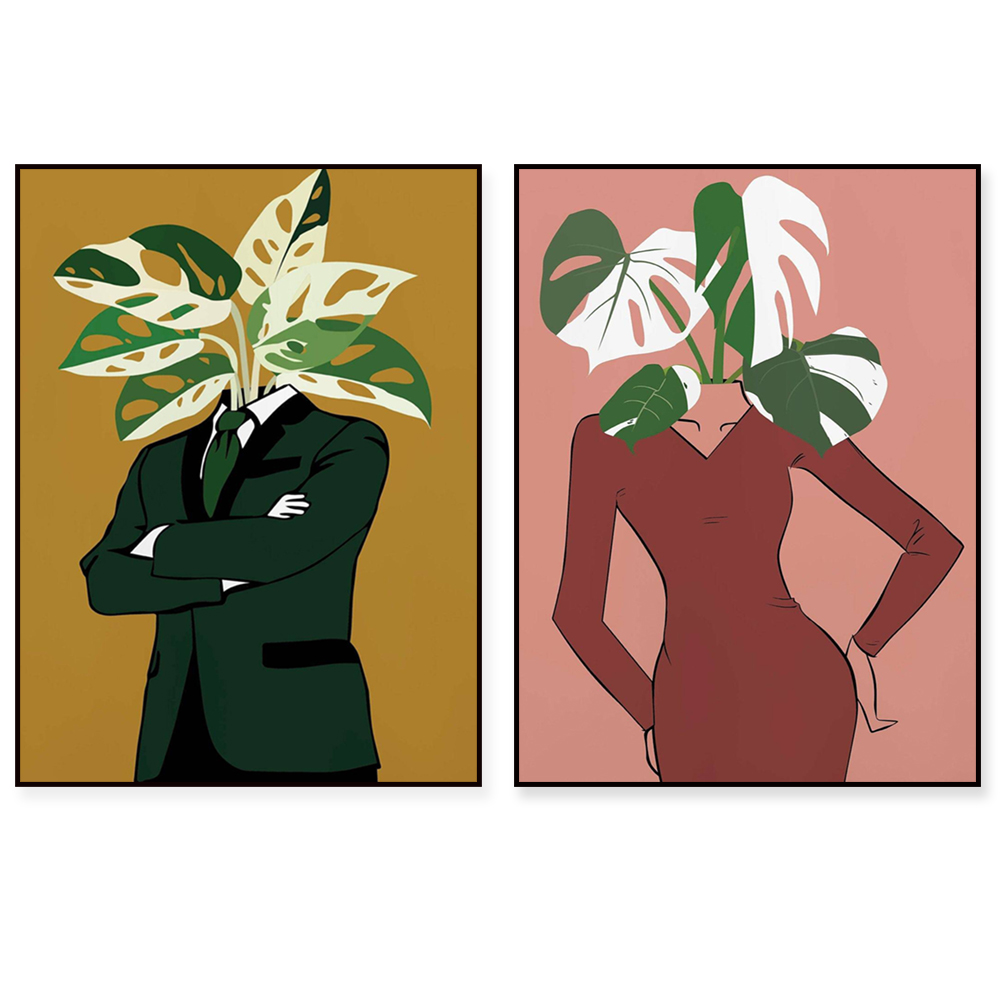 Monstera Albo in a burgundy dr - Monstera Adansonii บทวิจารณ์และราคา