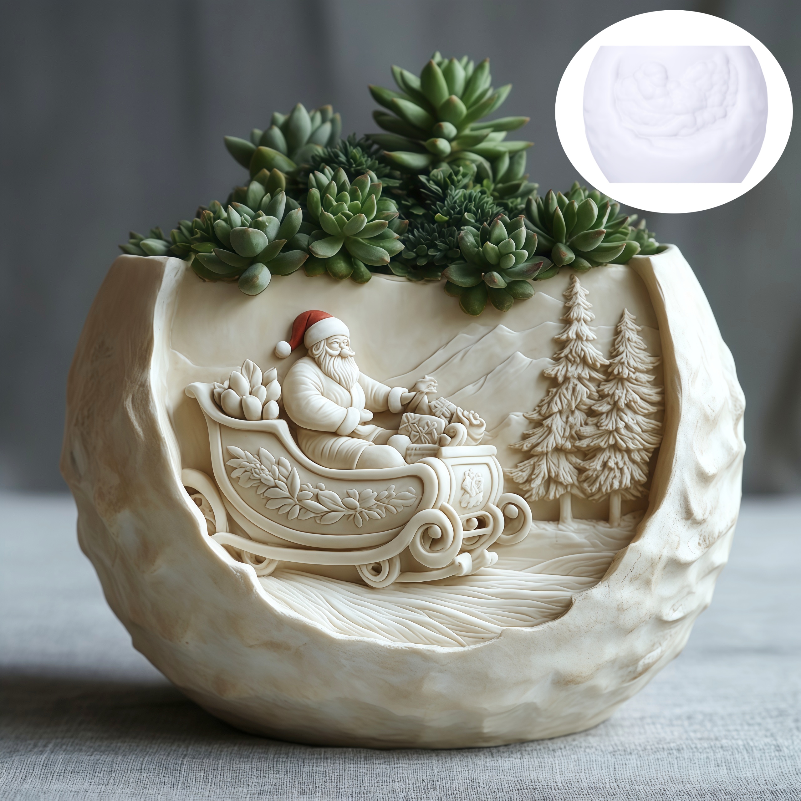 Cedar Sled Santa Claus Relief  - Echeveria Succulent บทวิจารณ์และราคา