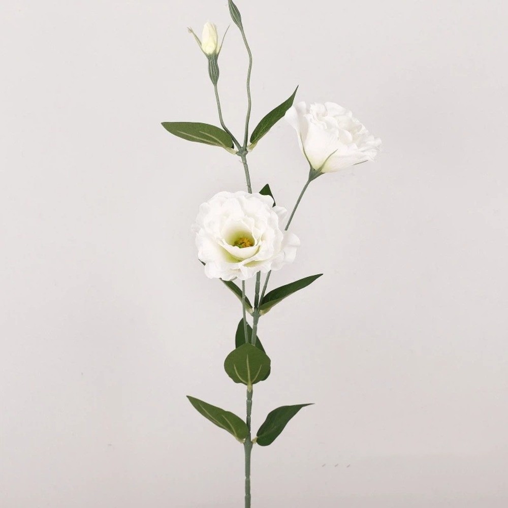 Platycodon Flower Artificial B - Ficus Lyrata Tree บทวิจารณ์และราคา