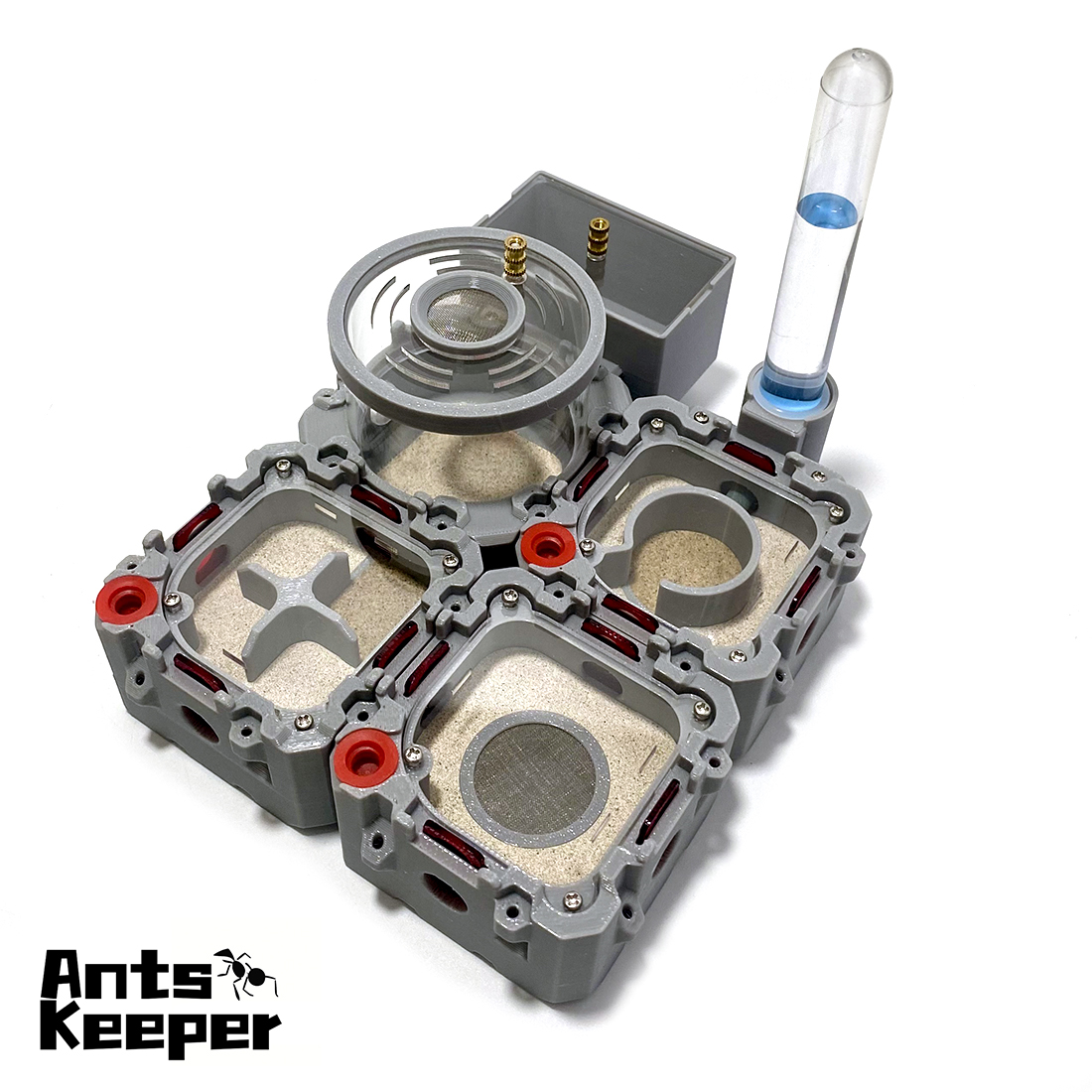 【Lego】Expandale Modular Formic - Begonia Rex บทวิจารณ์และราคา
