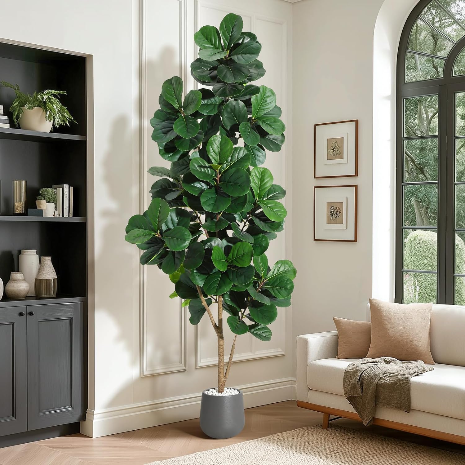 4FT/5FT/6FT/7FT Fiddle Leaf Fi - Ficus Lyrata Tree บทวิจารณ์และราคา