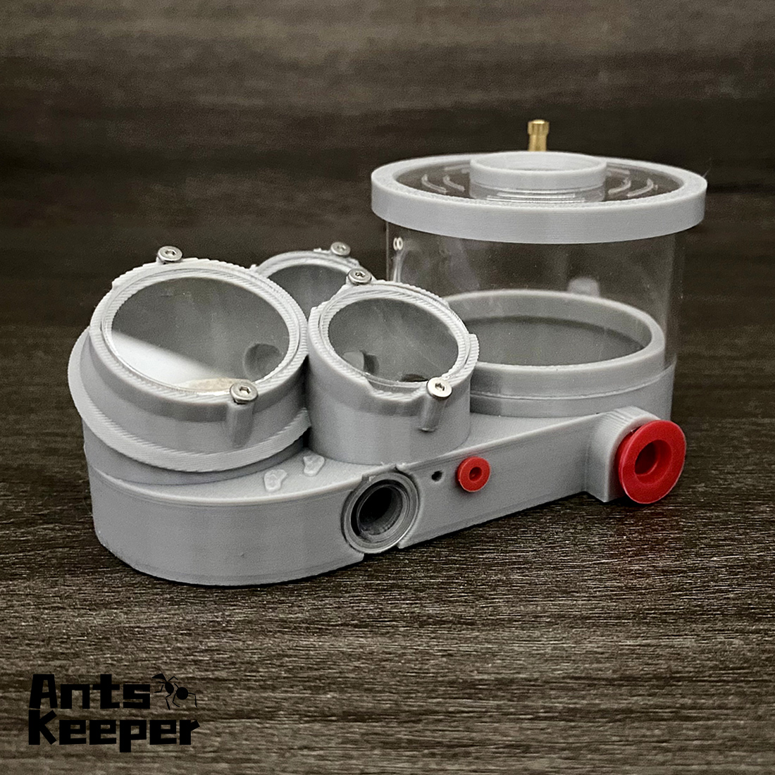 【Three Body】Ant Farm with Wate - Begonia Rex บทวิจารณ์และราคา