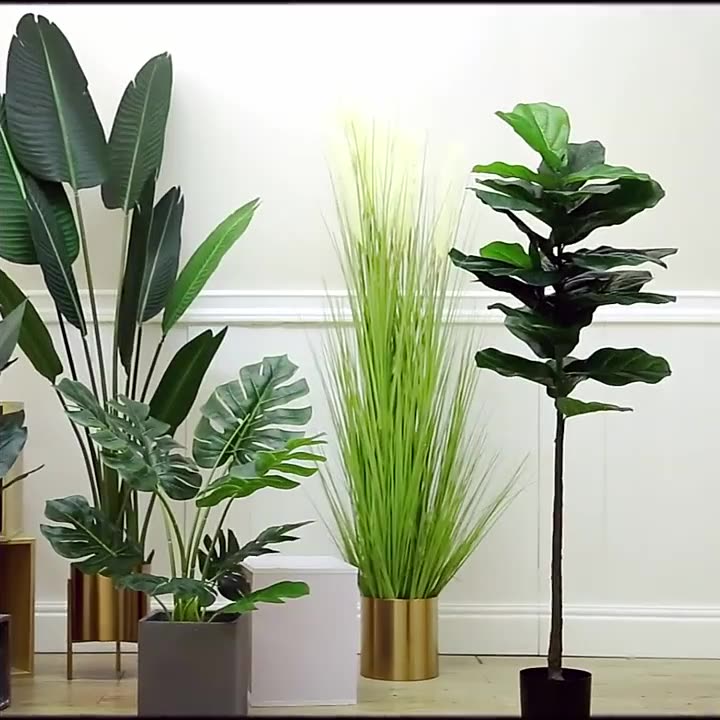 Simulation Palm Tree Artificia - Ficus Lyrata Tree บทวิจารณ์และราคา