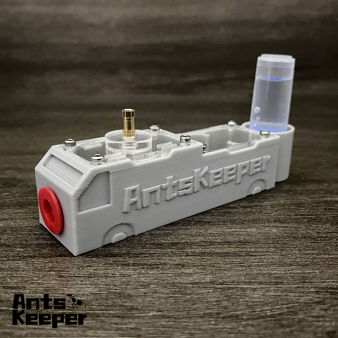 【Truck】Ant Farm for Ants keepe - Begonia Rex บทวิจารณ์และราคา