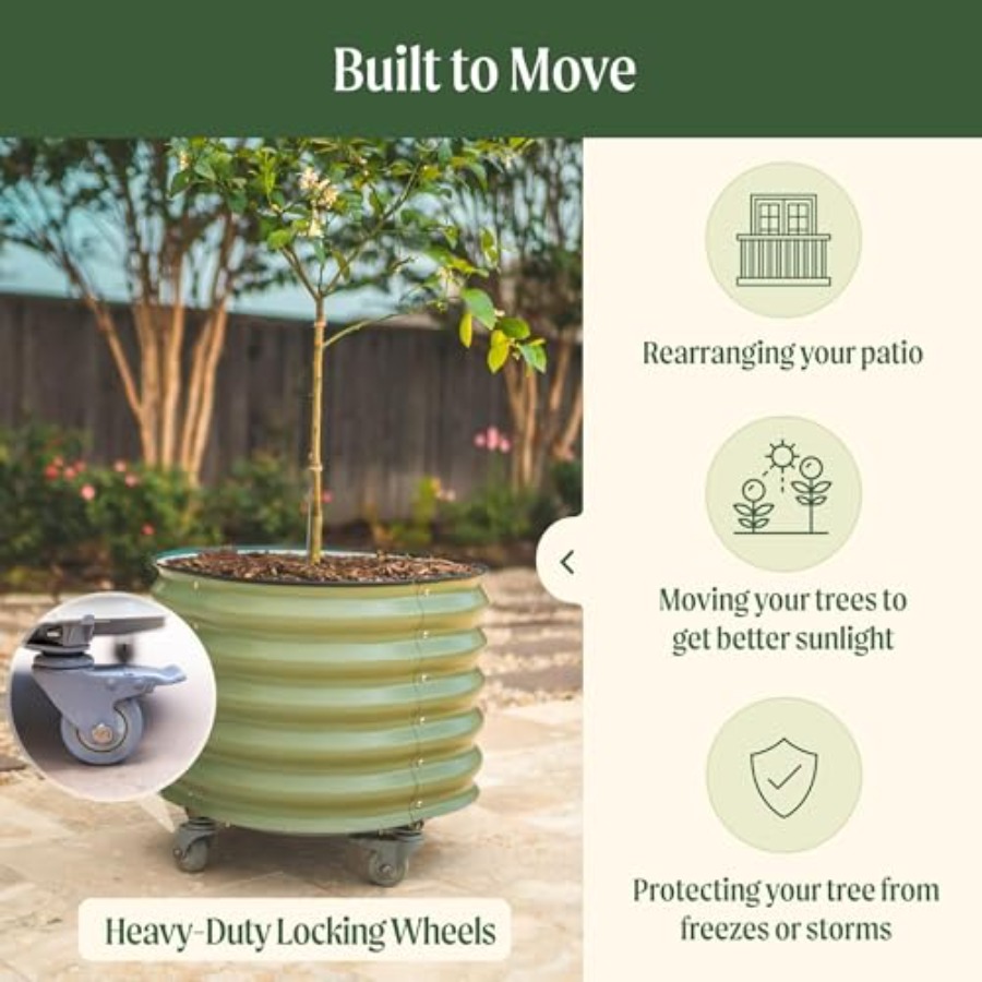 Self-Watering Rolling Metal Ci - Aloe Vera Pot บทวิจารณ์และราคา