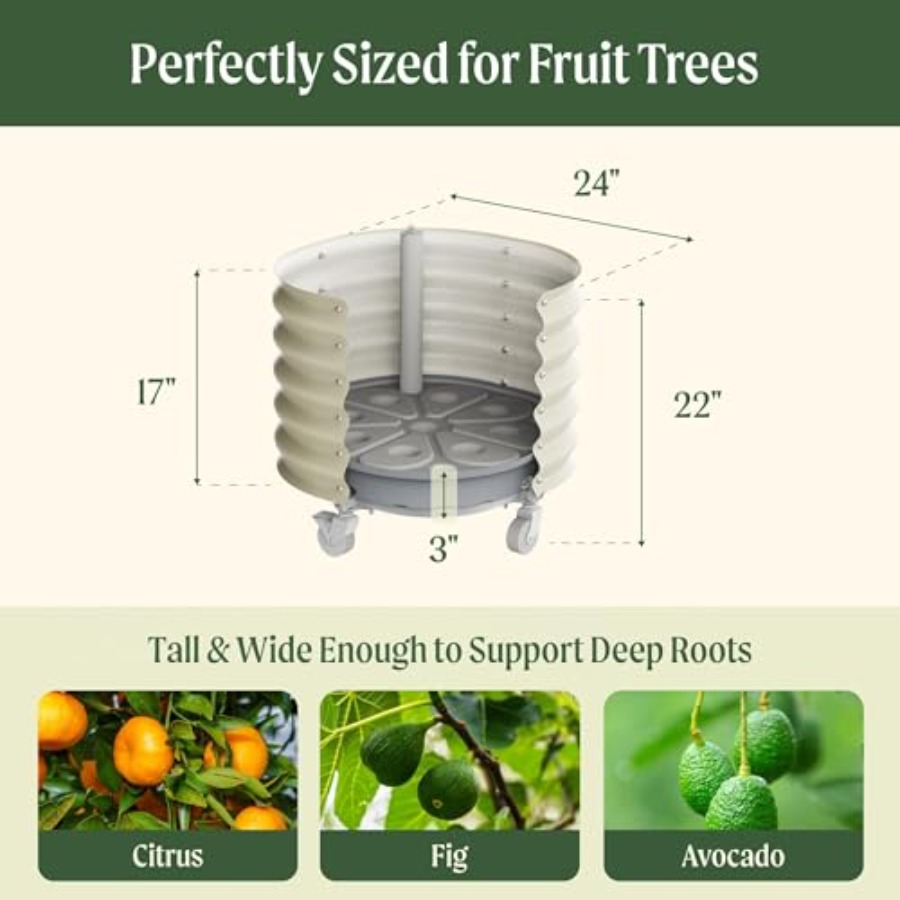 Self-Watering Rolling Metal Ci - Aloe Vera Pot บทวิจารณ์และราคา