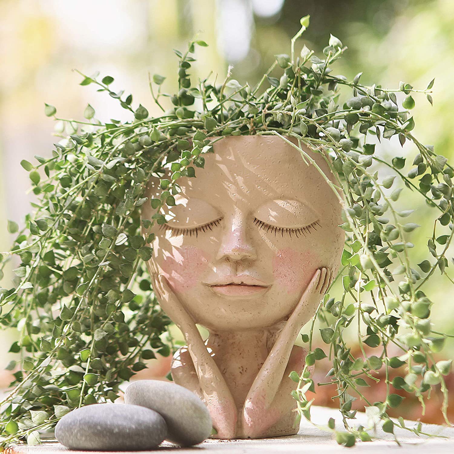Girls Face Head Flower Planter - Echeveria Succulent บทวิจารณ์และราคา