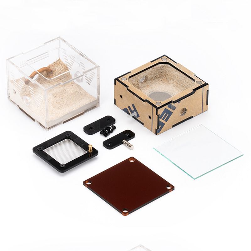 Unlimited Expansion Ant Farm H - Begonia Rex บทวิจารณ์และราคา