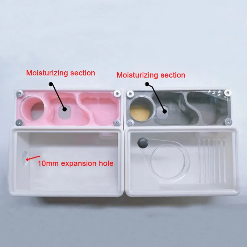 3D Printed Ant Farm queen ant' - Begonia Rex บทวิจารณ์และราคา